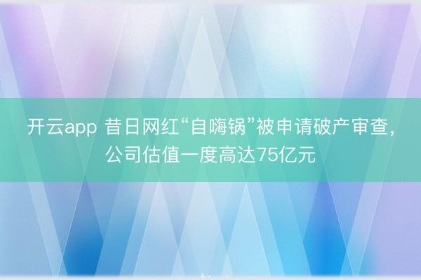 開云app 昔日網紅“自嗨鍋”被申請破產審查，公司估值一度高達75億元